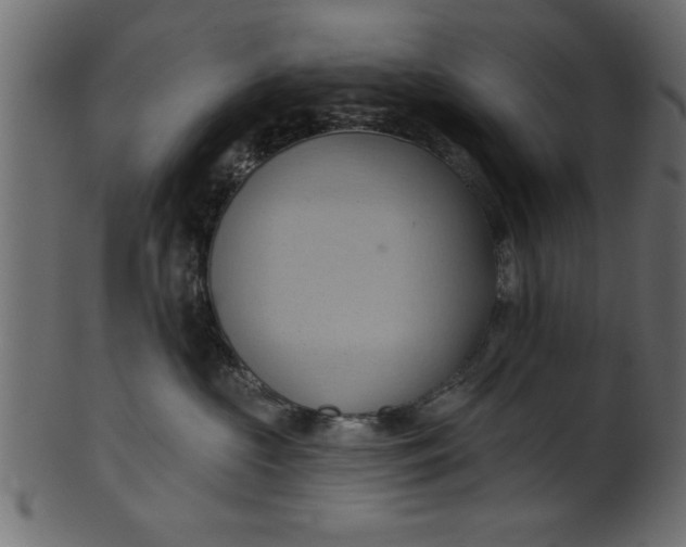 X0000101210573200807181421