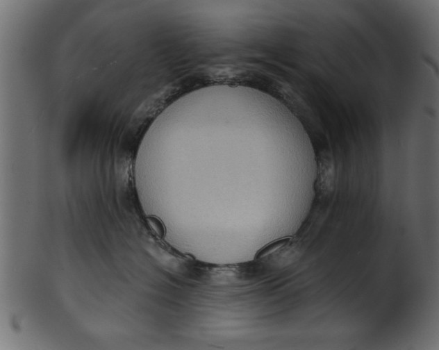 X0000101210574200807181421