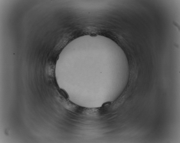 X0000101210576200807181421