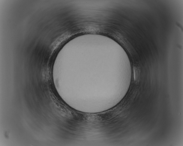 X0000101210579200807181420