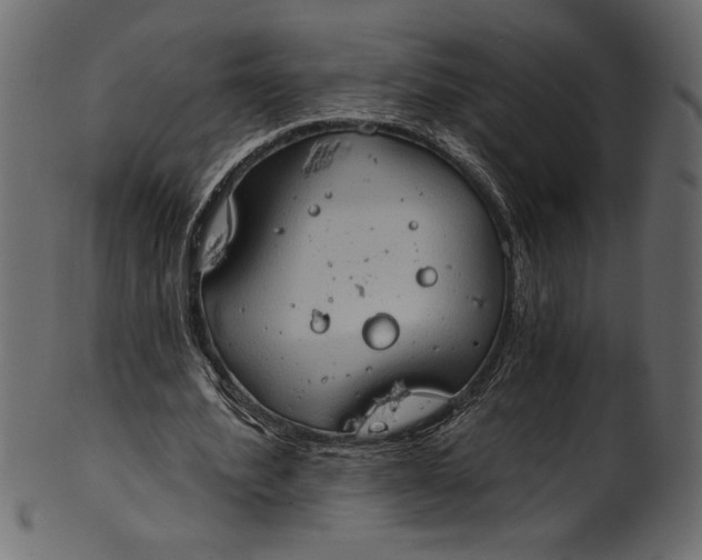 X0000101210580200807181420