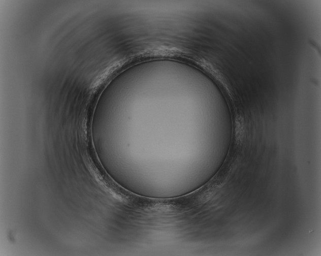 X0000101210581200807181420