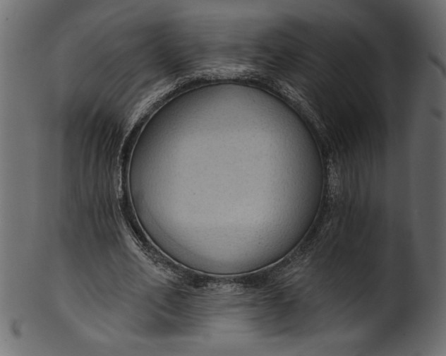 X0000101210582200807181420