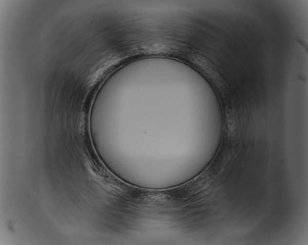 X0000101210583200807181420