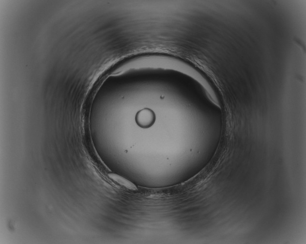 X0000101210584200807181420