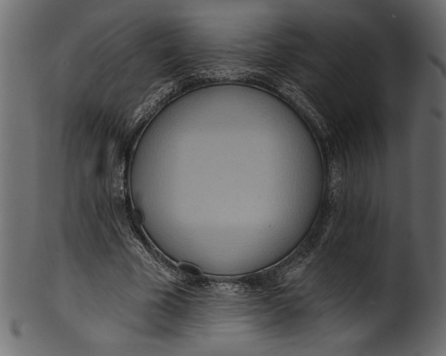 X0000101210585200807181420