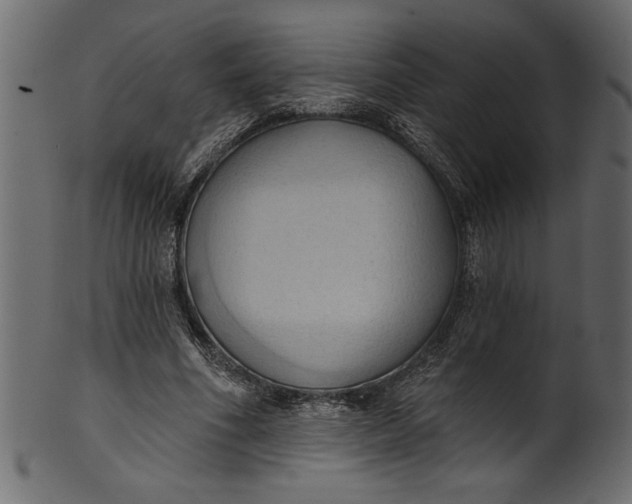 X0000101210586200807181420