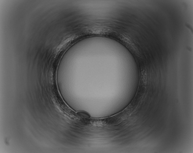 X0000101210587200807181420