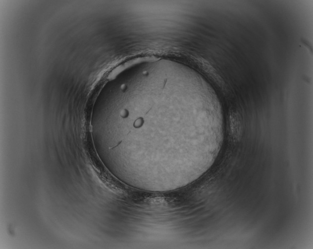 X0000101210588200807181420