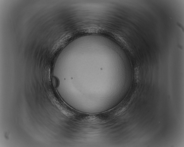 X0000101210589200807181420