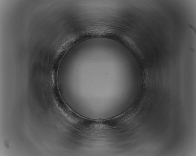 X0000101210590200807181420