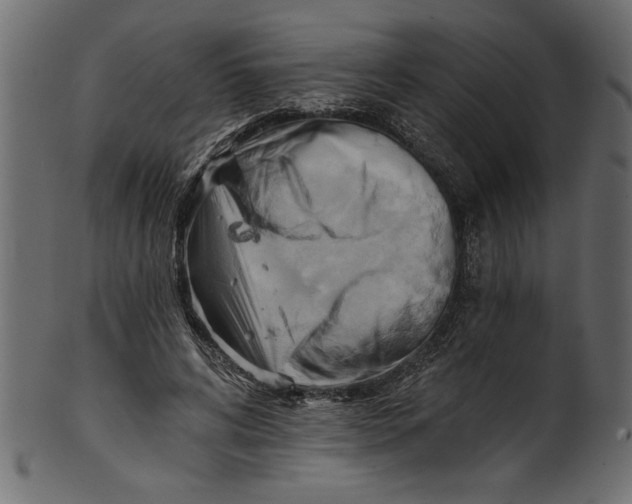 X0000101210592200807181420