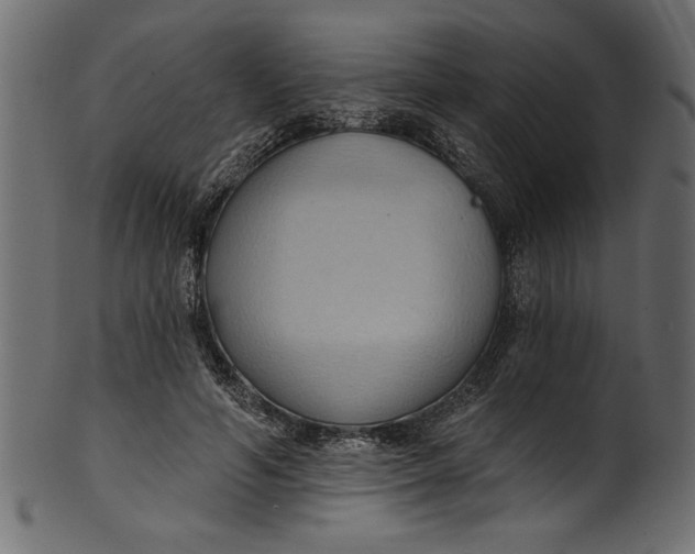 X0000101210594200807181420