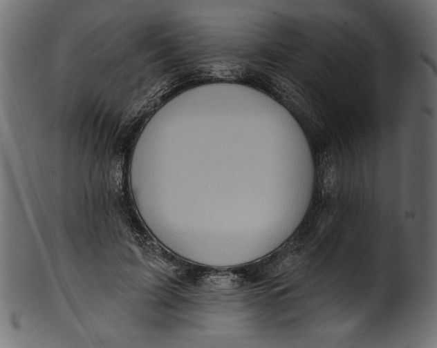 X0000101210595200807181420