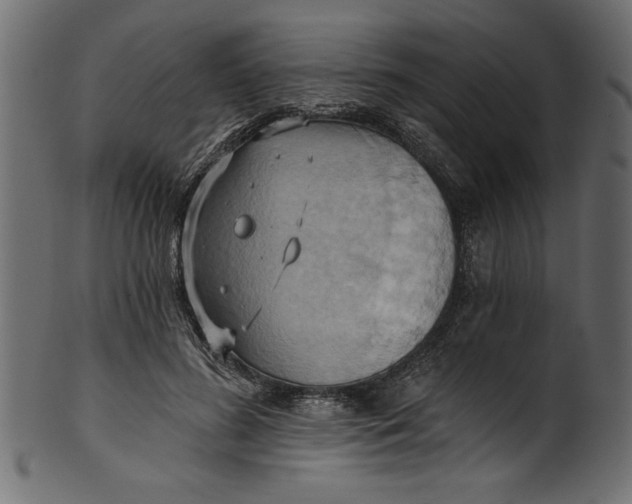 X0000101210596200807181420