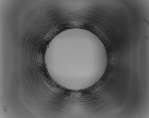 X0000101210599200807181420