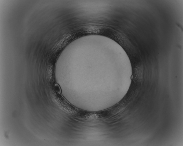 X0000101210600200807181420