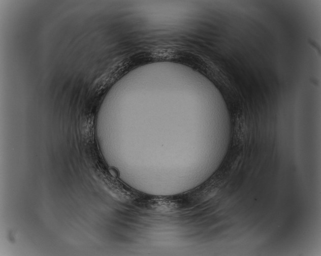 X0000101210601200807181420