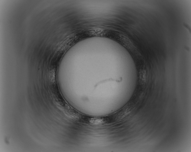 X0000101210602200807181420