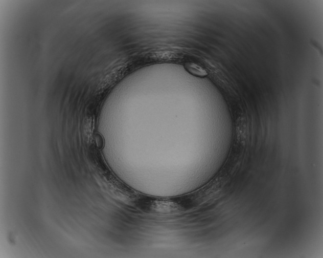 X0000101210605200807181420