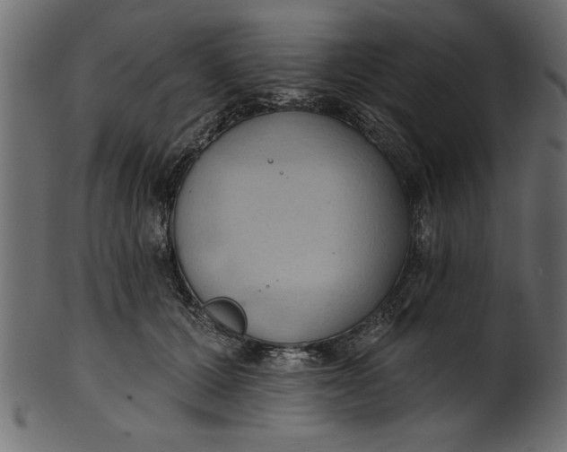 X0000101210607200807181420