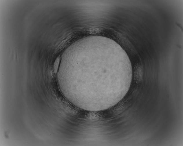 X0000101210608200807181420