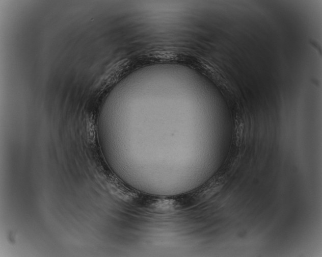 X0000101210609200807181420