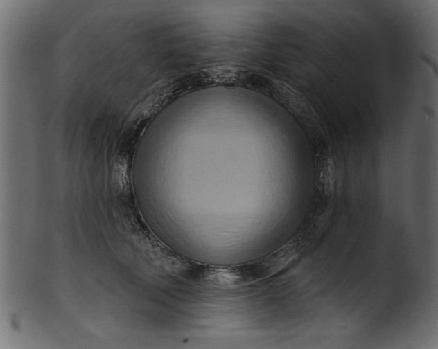 X0000101210610200807181420