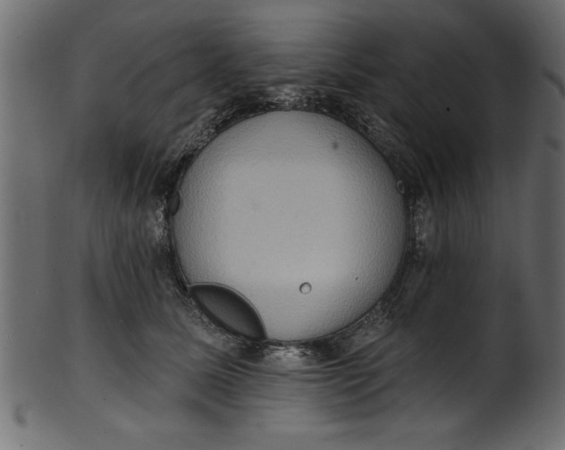 X0000101210611200807181420