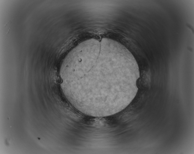 X0000101210612200807181420