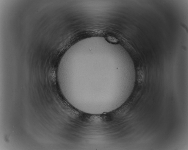 X0000101210613200807181420