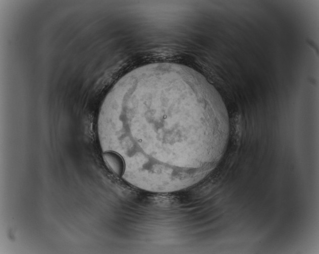 X0000101210615200807181419