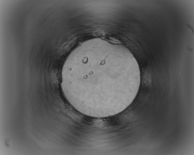 X0000101210616200807181419