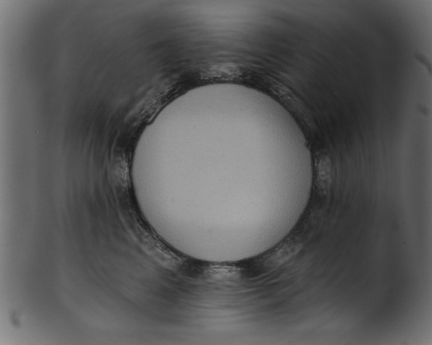 X0000101210617200807181419