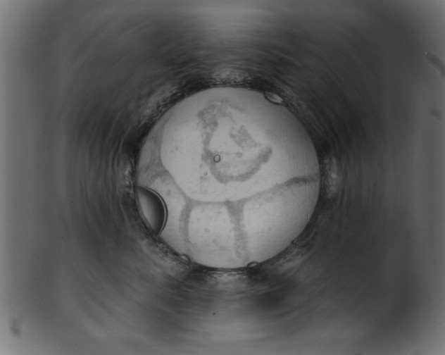 X0000101210619200807181419