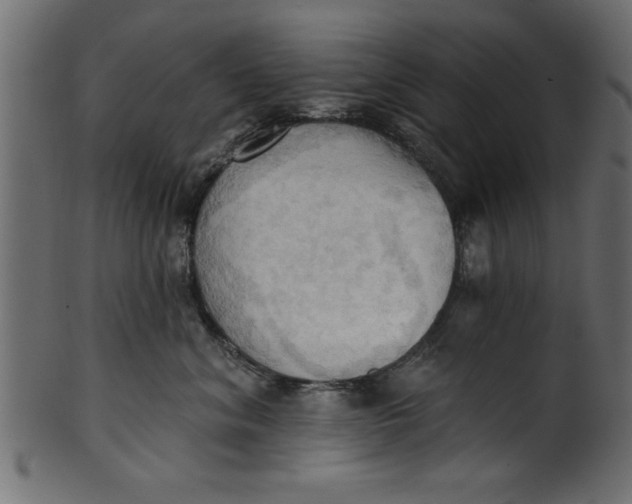 X0000101210620200807181419