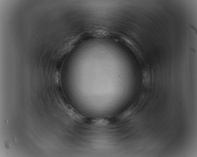 X0000101210621200807181419