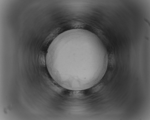 X0000101210622200807181419