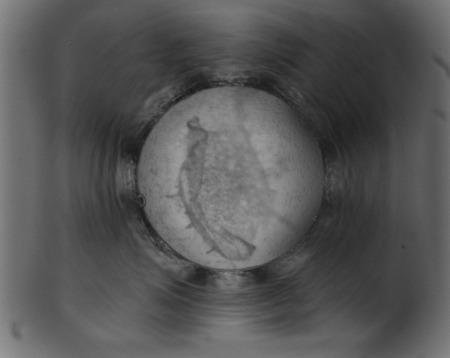 X0000101210623200807181419