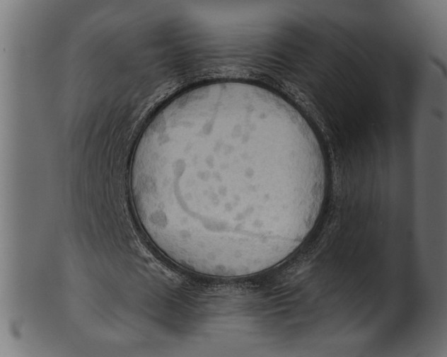 X0000101210625200807181419