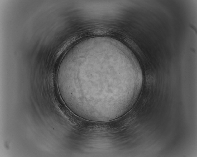 X0000101210626200807181419