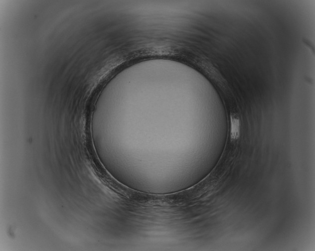 X0000101210627200807181419