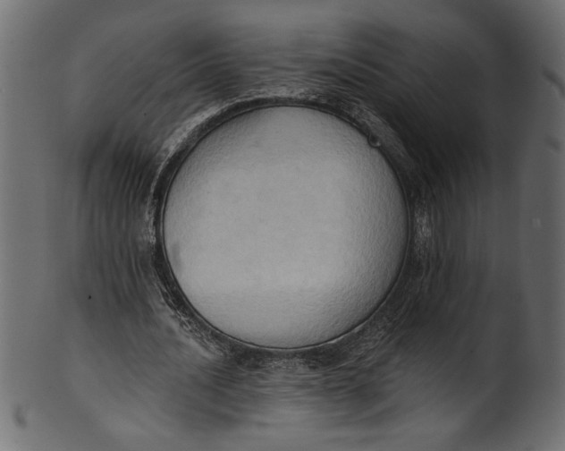 X0000101210628200807181419