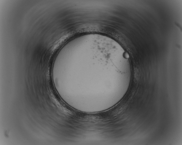 X0000101210629200807181419