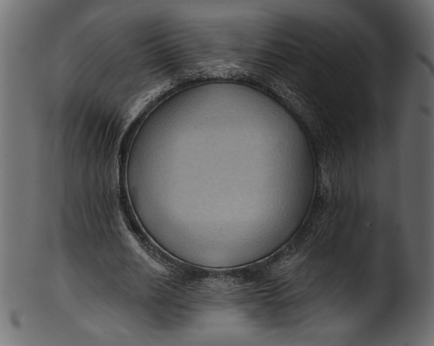 X0000101210630200807181419