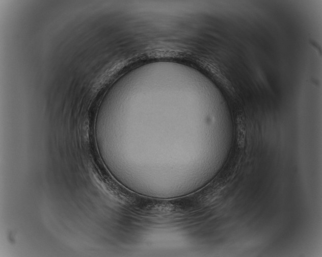 X0000101210631200807181419