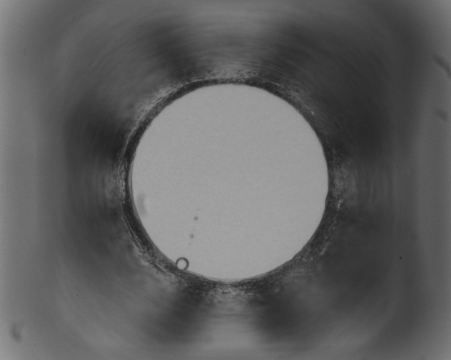 X0000101210632200807181419