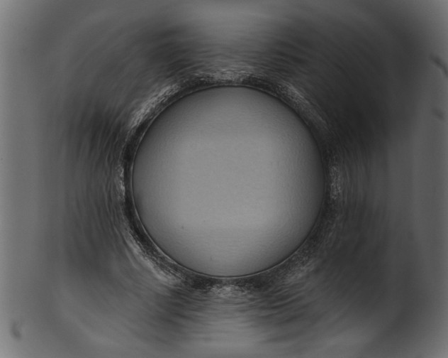 X0000101210634200807181419