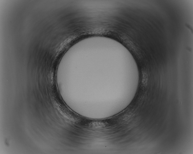 X0000101210636200807181419