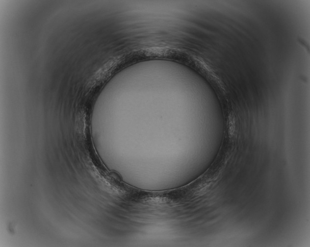 X0000101210637200807181419